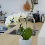 La Bertonnerie En Champagne Bed & Breakfast Prunay