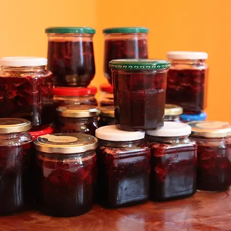 杯托内里香槟住宿加早餐旅馆 Prunay