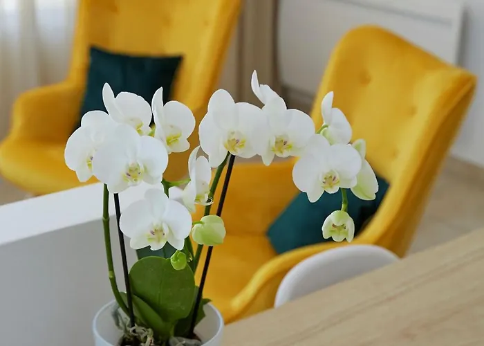 Bed & Breakfast La Bertonnerie En Champagne